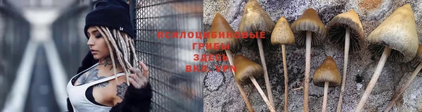 марки nbome Алзамай